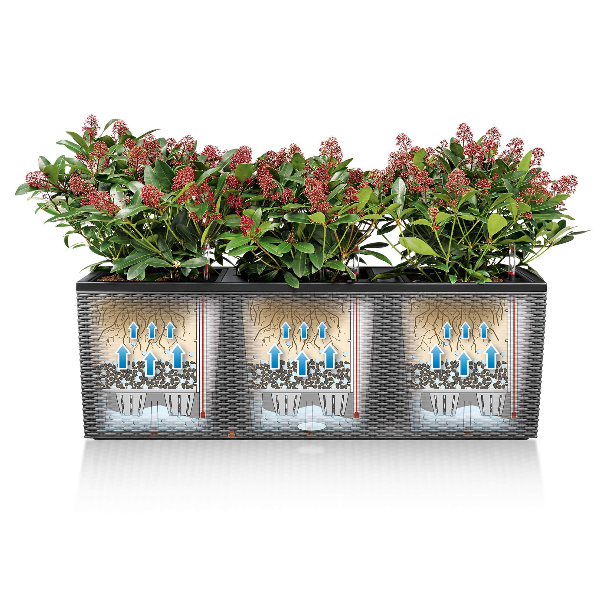 le_trio-cottage_product_addi_sws